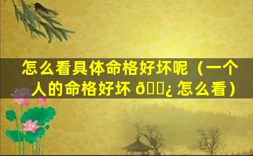 怎么看具体命格好坏呢（一个人的命格好坏 🌿 怎么看）
